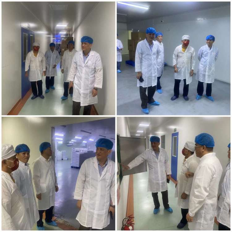 ?？谑协h(huán)境發(fā)展有限公司開(kāi)展重大事故隱患專(zhuān)項排查整治檢查工作